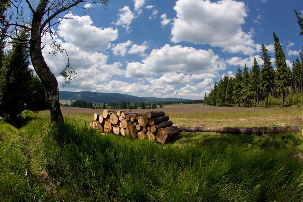 Przystanek *