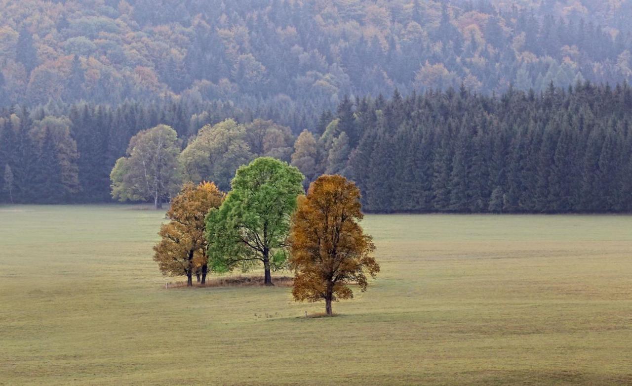 Przystanek Bed & Breakfast