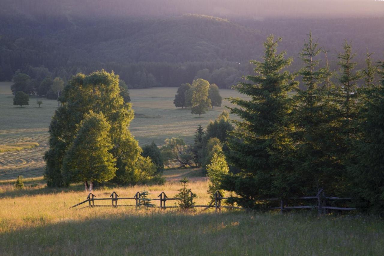 Bed & Breakfast Przystanek Lasowka