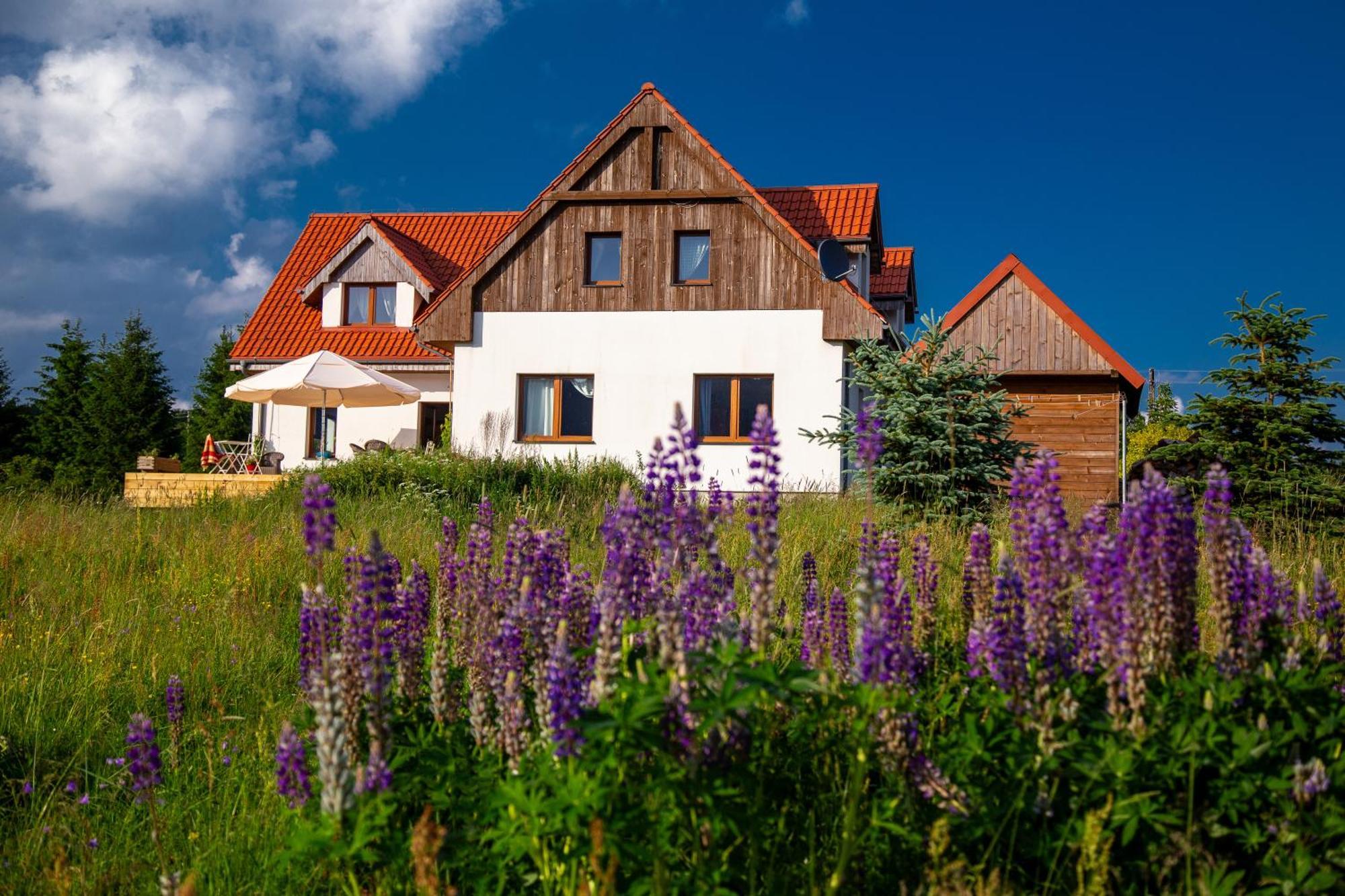 Przystanek